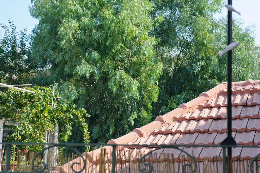 Вілла Casa Flora Old Town Chania  Екстер'єр фото